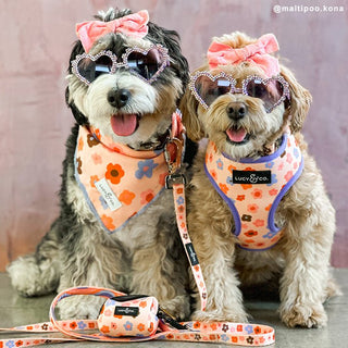 Lucy & Co Dog Bandana
