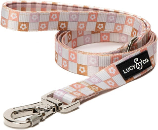 Lucy & Co Dog Leash
