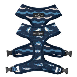 Lucy & Co Reversible Dog Harness