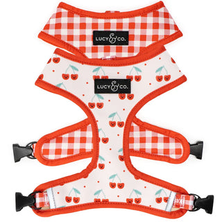 Lucy & Co Reversible Dog Harness