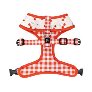 Lucy & Co Reversible Dog Harness