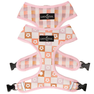 Lucy & Co Reversible Dog Harness