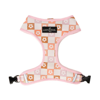 Lucy & Co Reversible Dog Harness