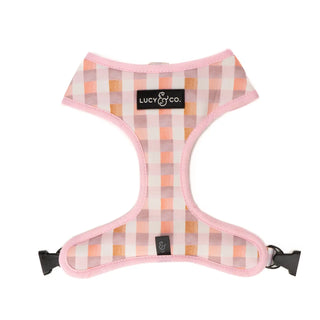 Lucy & Co Reversible Dog Harness