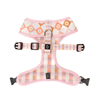 Lucy & Co Reversible Dog Harness