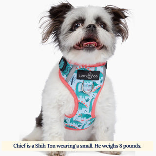 Lucy & Co No-Pull Harness