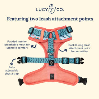 Lucy & Co No-Pull Harness