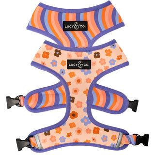 Lucy & Co Reversible Dog Harness