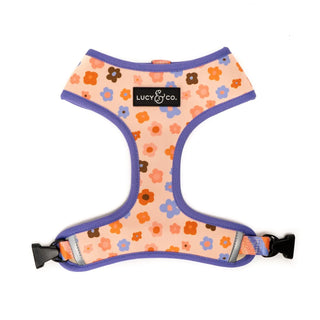 Lucy & Co Reversible Dog Harness