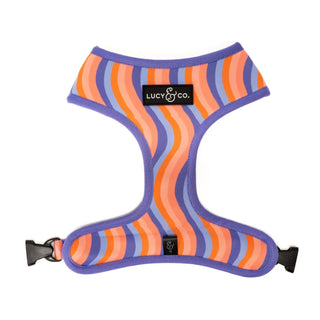 Lucy & Co Reversible Dog Harness