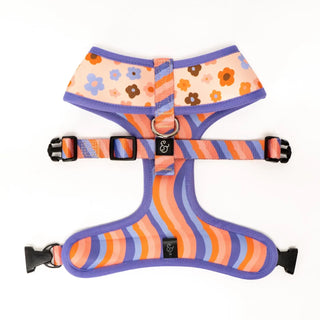 Lucy & Co Reversible Dog Harness