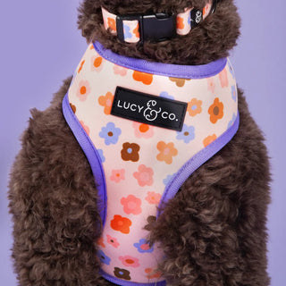 Lucy & Co Reversible Dog Harness