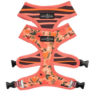 Lucy & Co Reversible Dog Harness