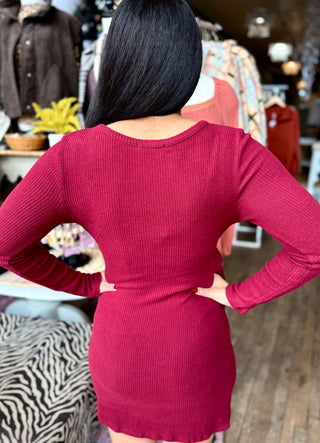 Back view of the burgundy ribbed knit dress showing the fitted silhouette and long sleeves.