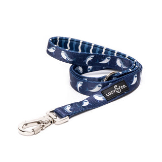 Lucy & Co Dog Leash