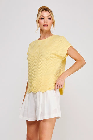 Maeve Scallop Pattern Knit Top