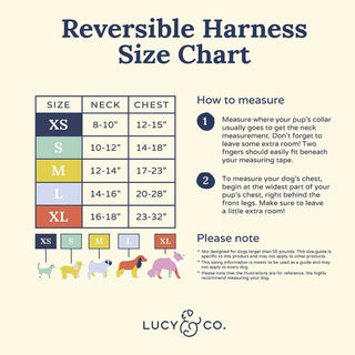 Lucy & Co Reversible Dog Harness