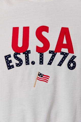 USA Embroidered Graphic Sweatshirt